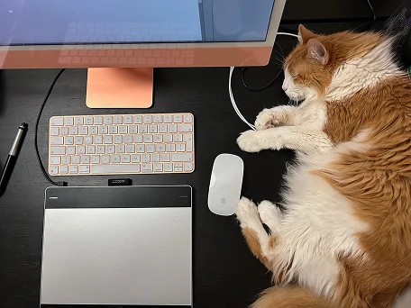 Adopción de perrito